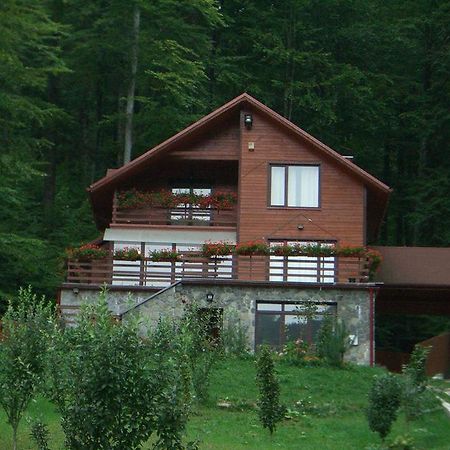 Villa Mara Sinaia Eksteriør bilde