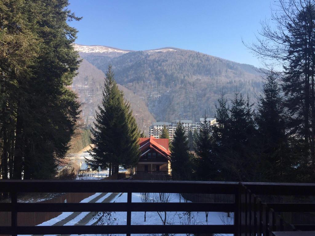 Villa Mara Sinaia Eksteriør bilde