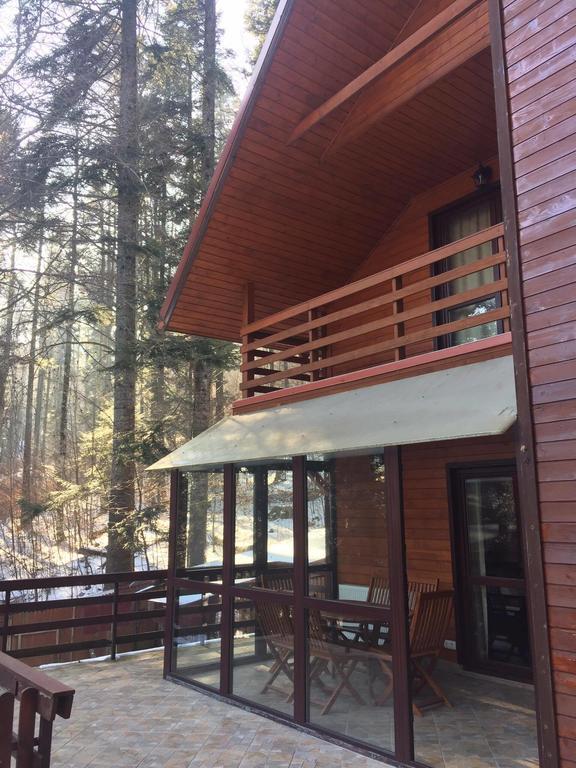 Villa Mara Sinaia Eksteriør bilde