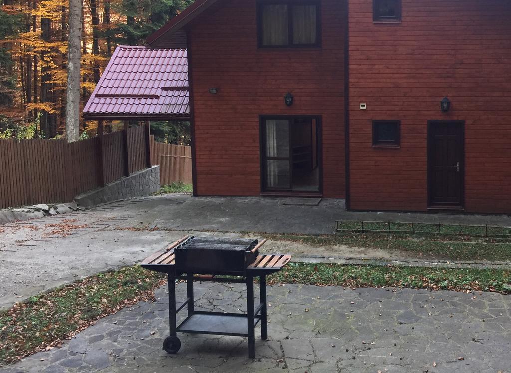 Villa Mara Sinaia Eksteriør bilde